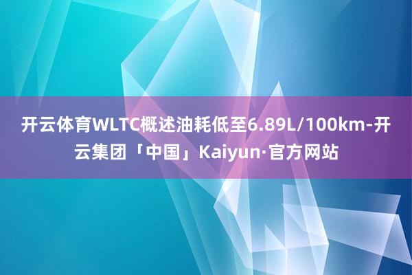 开云体育WLTC概述油耗低至6.89L/100km-开云集团「中国」Kaiyun·官方网站