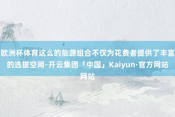 欧洲杯体育这么的能源组合不仅为花费者提供了丰富的选拔空间-开云集团「中国」Kaiyun·官方网站