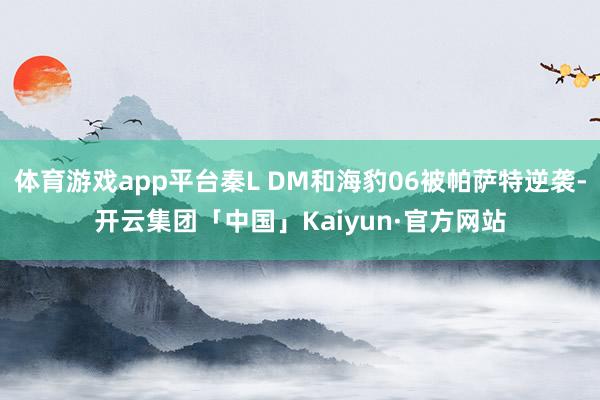 体育游戏app平台秦L DM和海豹06被帕萨特逆袭-开云集团「中国」Kaiyun·官方网站