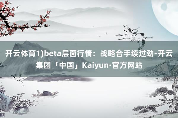 开云体育1)beta层面行情：战略合手续过劲-开云集团「中国