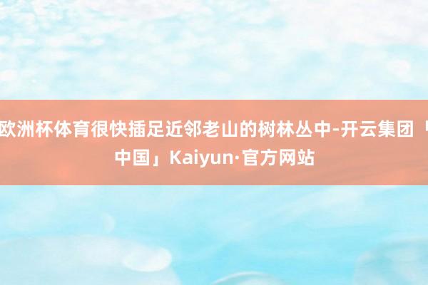 欧洲杯体育很快插足近邻老山的树林丛中-开云集团「中国」Kai