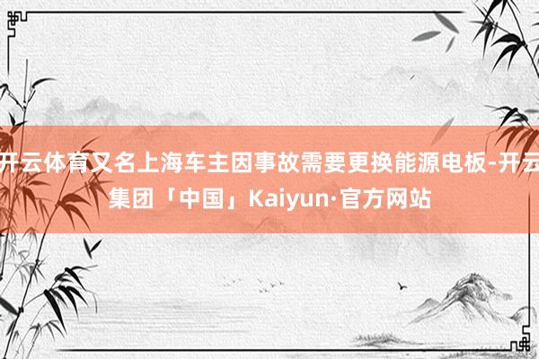 开云体育又名上海车主因事故需要更换能源电板-开云集团「中国」