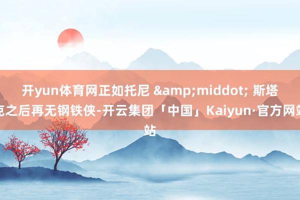 开yun体育网正如托尼 &middot; 斯塔克之后