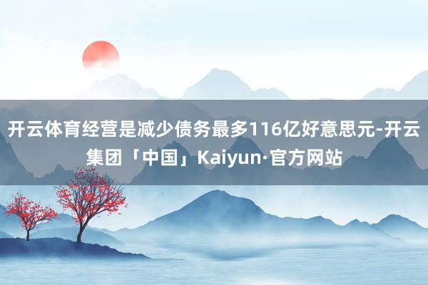 开云体育经营是减少债务最多116亿好意思元-开云集团「中国」