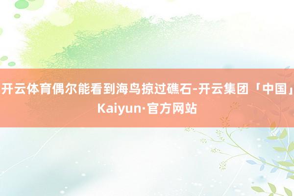 开云体育偶尔能看到海鸟掠过礁石-开云集团「中国」Kaiyun