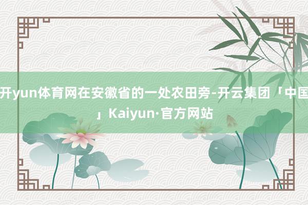 开yun体育网在安徽省的一处农田旁-开云集团「中国」Kaiy