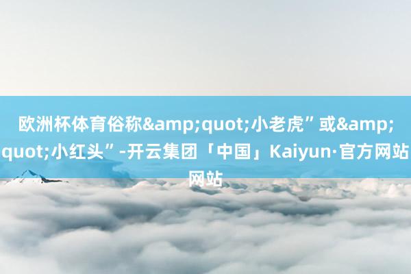 欧洲杯体育俗称&quot;小老虎”或&quo
