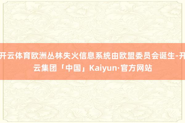 开云体育欧洲丛林失火信息系统由欧盟委员会诞生-开云集团「中国