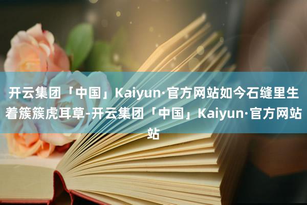 开云集团「中国」Kaiyun·官方网站如今石缝里生着簇簇虎耳草-开云集团「中国」Kaiyun·官方网站