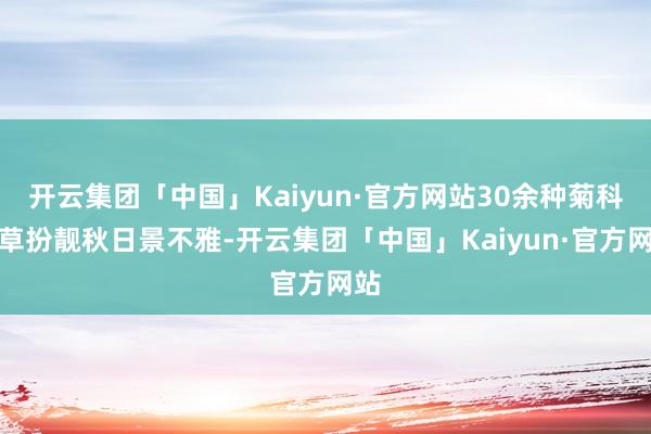 开云集团「中国」Kaiyun·官方网站30余种菊科花草扮靓秋