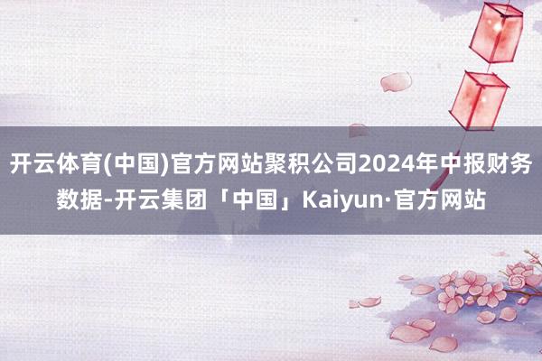 开云体育(中国)官方网站聚积公司2024年中报财务数据-开云集团「中国」Kaiyun·官方网站