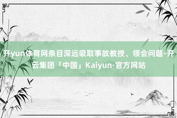 开yun体育网条目深远吸取事故教授、领会问题-开云集团「中国」Kaiyun·官方网站