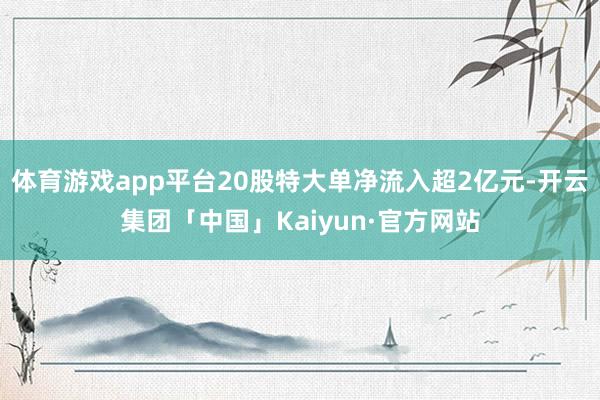 体育游戏app平台20股特大单净流入超2亿元-开云集团「中国」Kaiyun·官方网站