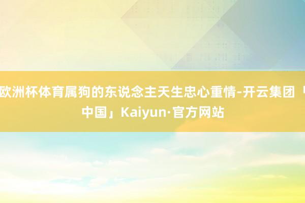 欧洲杯体育属狗的东说念主天生忠心重情-开云集团「中国」Kai