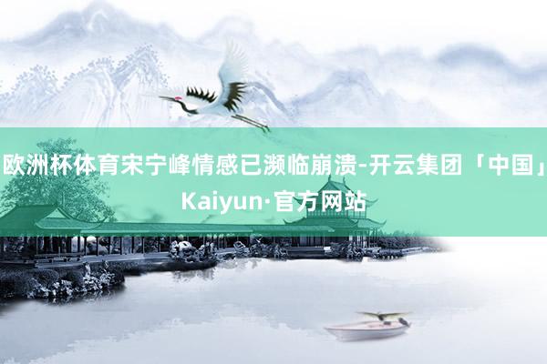 欧洲杯体育宋宁峰情感已濒临崩溃-开云集团「中国」Kaiyun