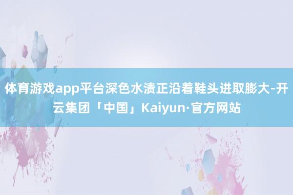体育游戏app平台深色水渍正沿着鞋头进取膨大-开云集团「中国