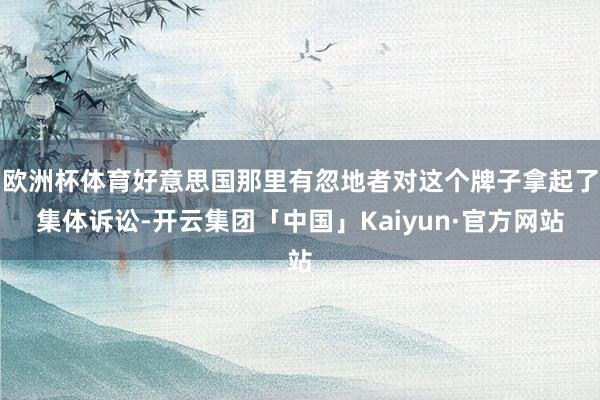 欧洲杯体育好意思国那里有忽地者对这个牌子拿起了集体诉讼-开云