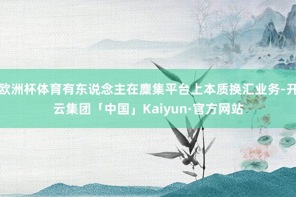 欧洲杯体育有东说念主在麇集平台上本质换汇业务-开云集团「中国