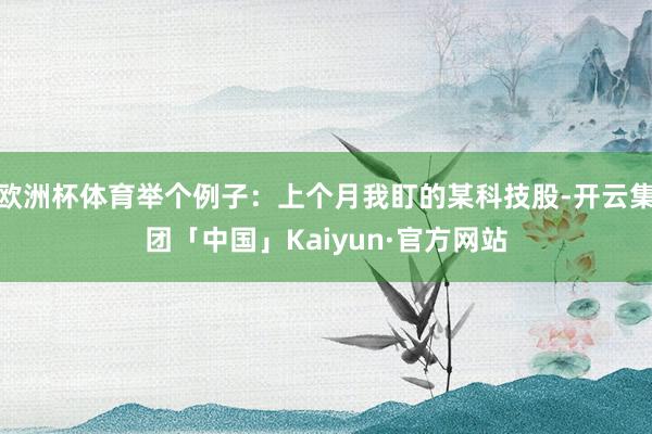 欧洲杯体育举个例子：上个月我盯的某科技股-开云集团「中国」K