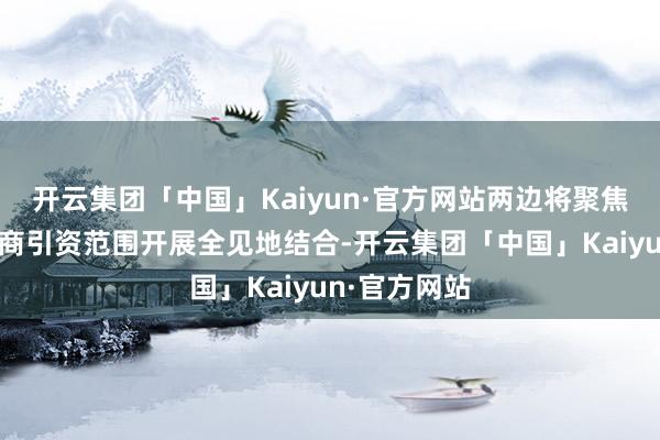 开云集团「中国」Kaiyun·官方网站两边将聚焦低空经济招商