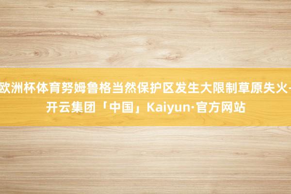 欧洲杯体育努姆鲁格当然保护区发生大限制草原失火-开云集团「中国」Kaiyun·官方网站